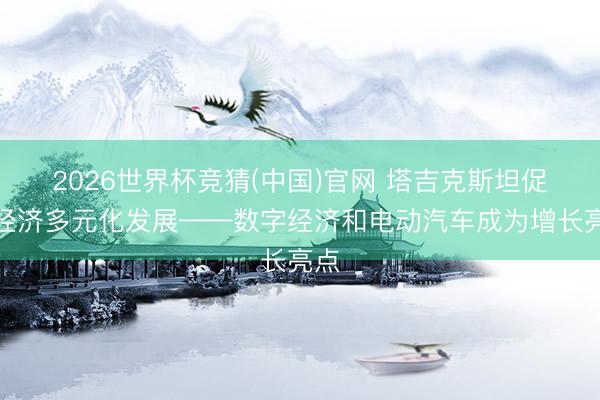 2026世界杯竞猜(中国)官网 塔吉克斯坦促进经济多元化发展——数字经济和电动汽车成为增长亮点