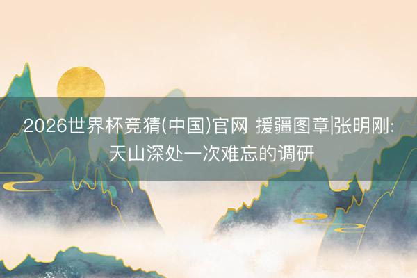 2026世界杯竞猜(中国)官网 援疆图章|张明刚: 天山深处一次难忘的调研