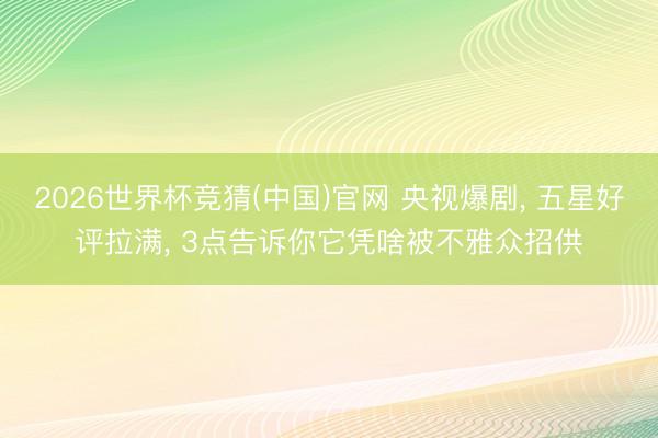 2026世界杯竞猜(中国)官网 央视爆剧， 五星好评拉满， 3点告诉你它凭啥被不雅众招供