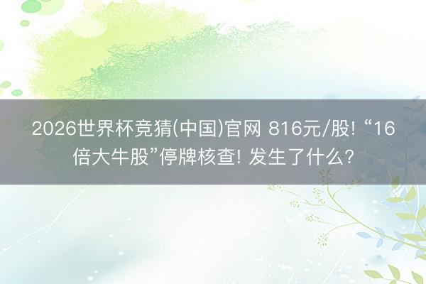 2026世界杯竞猜(中国)官网 816元/股! “16倍大牛股”停牌核查! 发生了什么?