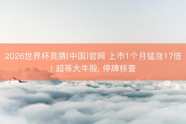 2026世界杯竞猜(中国)官网 上市1个月猛涨17倍! 超等大牛股， 停牌核查