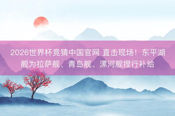 2026世界杯竞猜中国官网 直击现场！东平湖舰为拉萨舰、青岛舰、漯河舰捏行补给