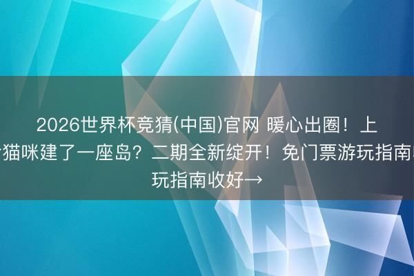 2026世界杯竞猜(中国)官网 暖心出圈！上海竟给猫咪建了一座岛？二期全新绽开！免门票游玩指南收好→