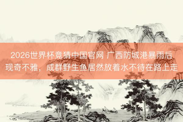 2026世界杯竞猜中国官网 广西防城港暴雨后现奇不雅，成群野生鱼居然放着水不待在路上走
