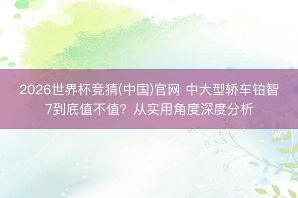 2026世界杯竞猜(中国)官网 中大型轿车铂智7到底值不值？从实用角度深度分析