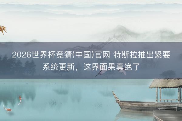 2026世界杯竞猜(中国)官网 特斯拉推出紧要系统更新,这界面果真绝了