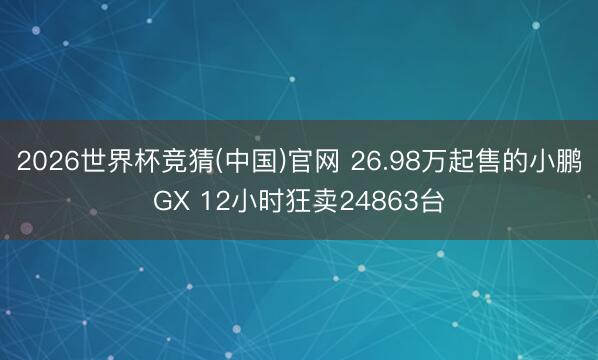 2026世界杯竞猜(中国)官网 26.98万起售的小鹏GX 12小时狂卖24863台