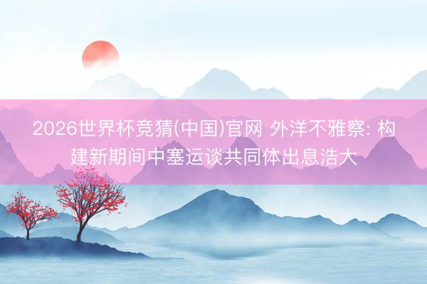 2026世界杯竞猜(中国)官网 外洋不雅察: 构建新期间中塞运谈共同体出息浩大