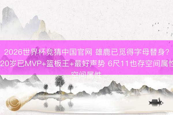 2026世界杯竞猜中国官网 雄鹿已觅得字母替身? 20岁已MVP+篮板王+最好声势 6尺11也存空间属性