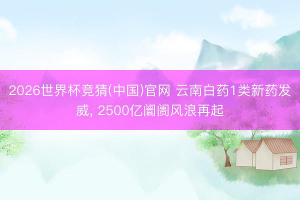 2026世界杯竞猜(中国)官网 云南白药1类新药发威, 2500亿阛阓风浪再起