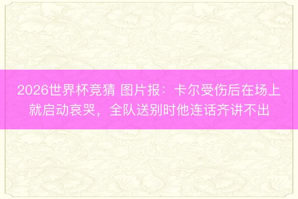 2026世界杯竞猜 图片报:卡尔受伤后在场上就启动哀哭,全队送别时他连话齐讲不出