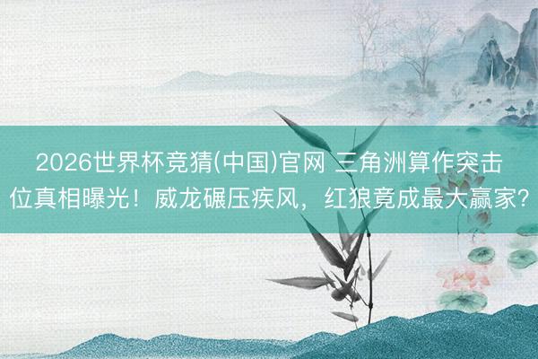2026世界杯竞猜(中国)官网 三角洲算作突击位真相曝光！威龙碾压疾风，红狼竟成最大赢家？