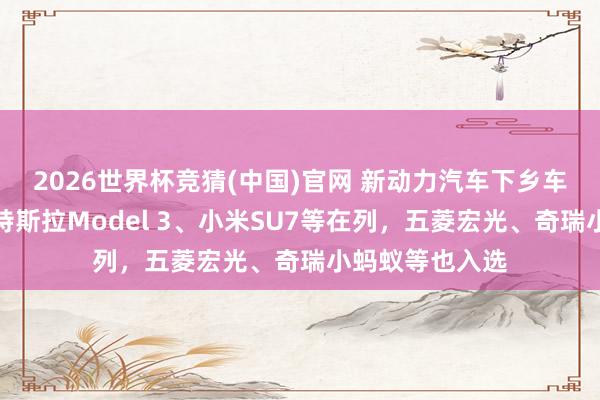 2026世界杯竞猜(中国)官网 新动力汽车下乡车型名单公布！特斯拉Model 3、小米SU7等在列，五菱宏光、奇瑞小蚂蚁等也入选