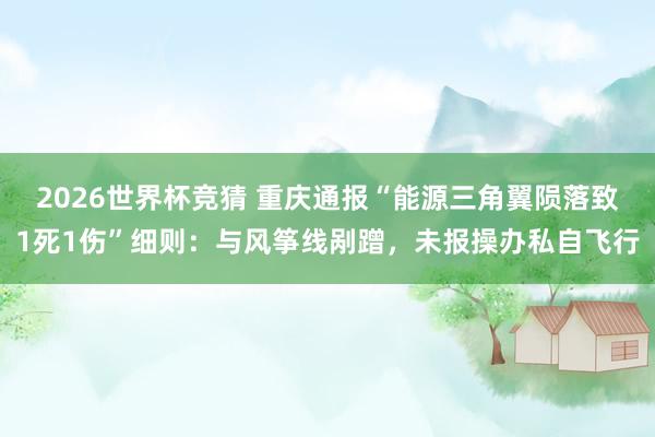 2026世界杯竞猜 重庆通报“能源三角翼陨落致1死1伤”细则:与风筝线剐蹭,未报操办私自飞行